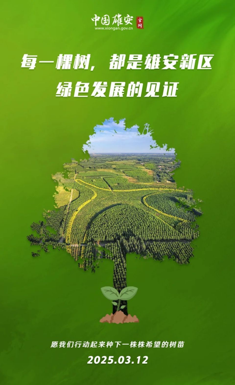 植树节丨“植”此青绿 拥抱未来