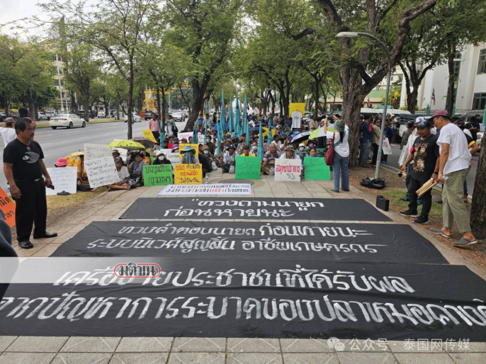 泰国爆发游行！2吨死鱼砸向政府！_腾讯新闻
