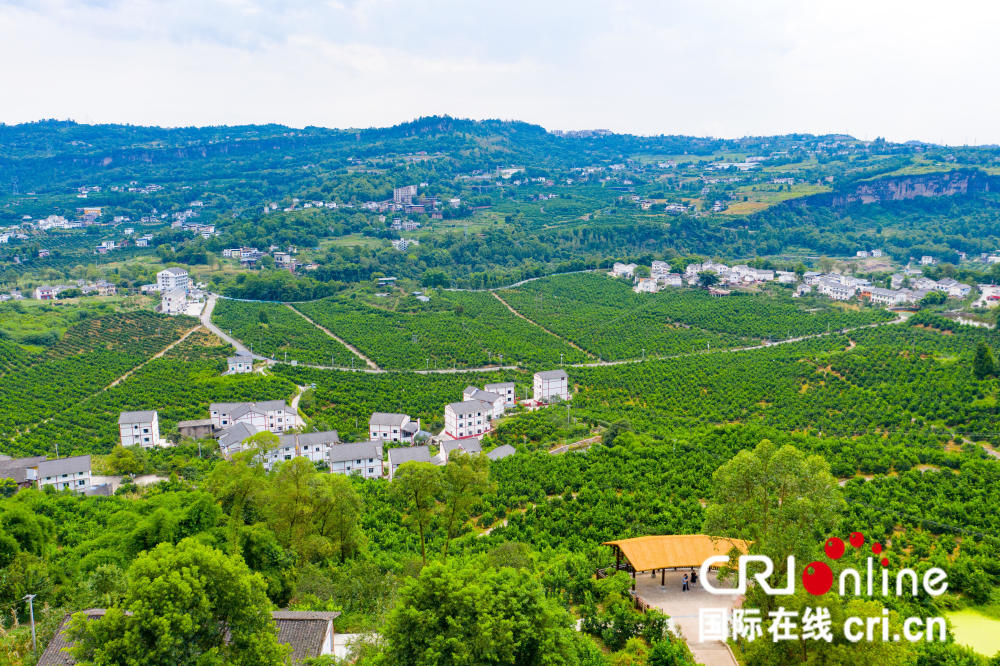 重庆万州区甘宁镇积极发挥资源优势 大力发展现代农业产业体系_腾讯