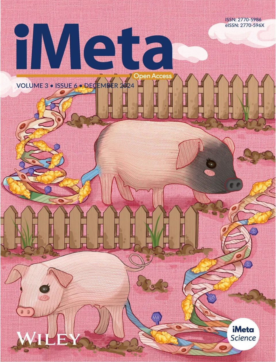 透化治疗什么iMeta ｜ 中国药科大学顾丰组-解析黄葵治疗糖尿病肾病机制_https://www.jmylbn.com_新闻资讯_第24张