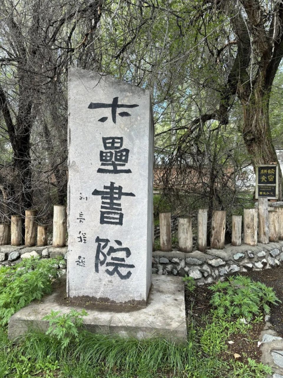去爱,去生活,去受伤