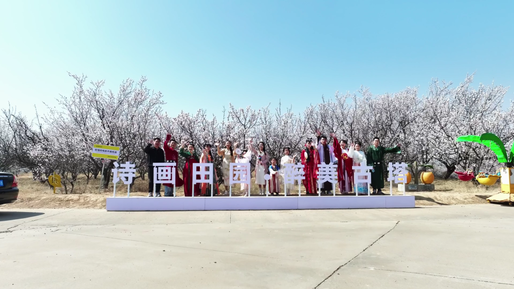 此时的塞上,杏花的盛开拉开榆林整个花季的序幕,古塔的杏花,如来势
