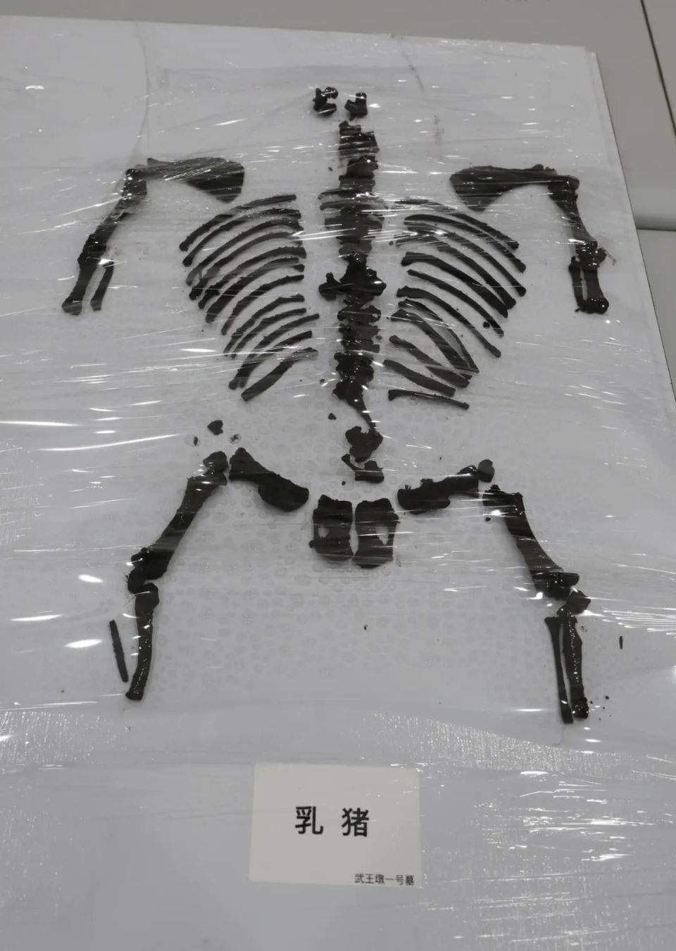 首次展示!最新武王墩墓考古发掘现场 已提取文物3000件(组)