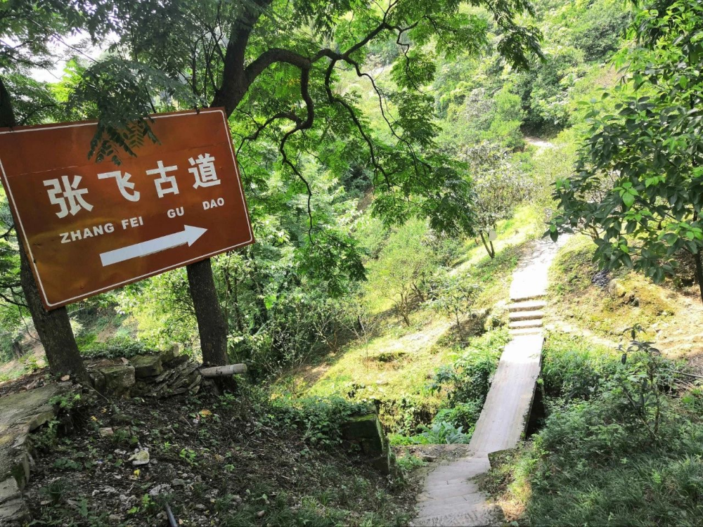 老少皆宜，重庆主城5条经典徒步路线，周末踏青不愁没处去！_腾讯新闻