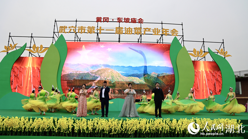 湖北武穴:43万亩油菜花开迎客 打造全国菜籽油交易集散地_腾讯新闻