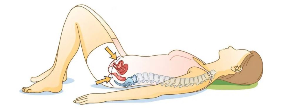 医生常说要护好的「盆底肌」,具体该怎么练?