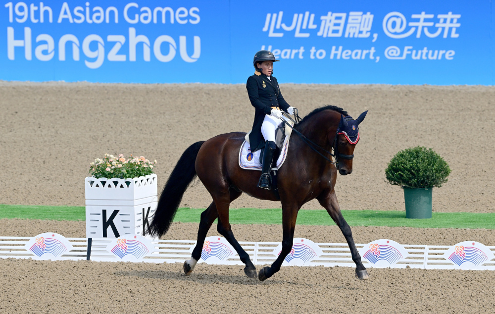 马术盛装舞步个人赛赛况2