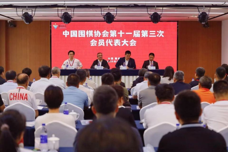 贺凤翔当选中国围棋协会副主席兼秘书长