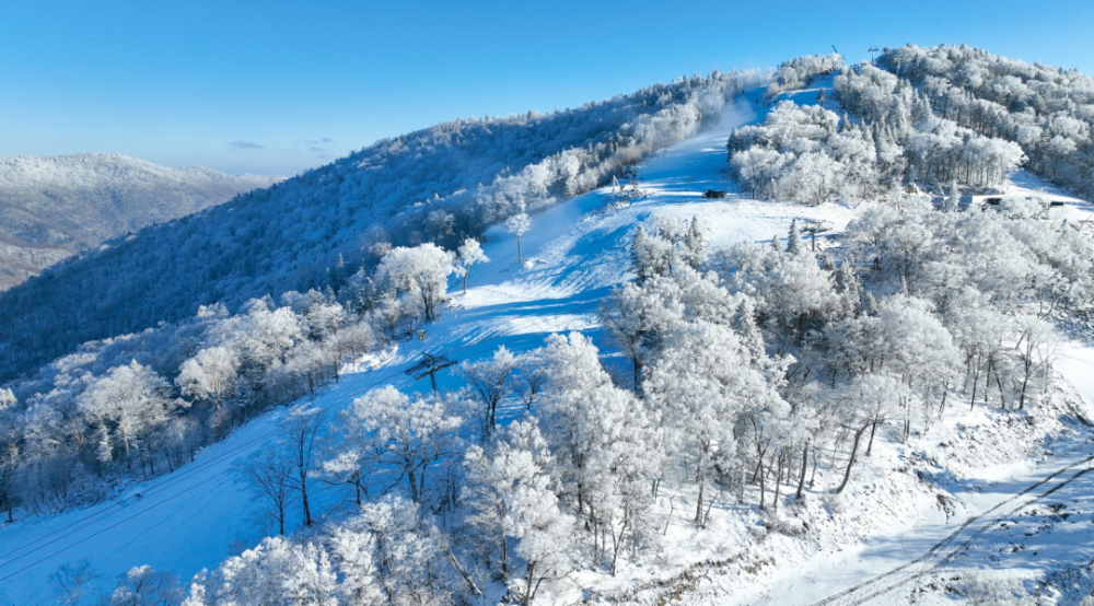 大雪照片真实图片