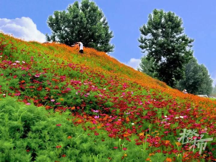 富阳银湖大草坪图片