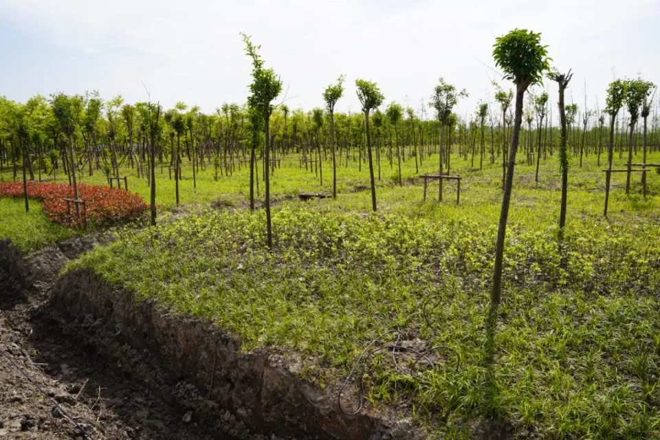 位于华新镇东北侧一隅,华益村北江村民组北侧,与嘉定区黄渡镇隔河相望
