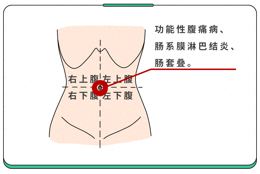 肚脐和胃肠的位置图图片