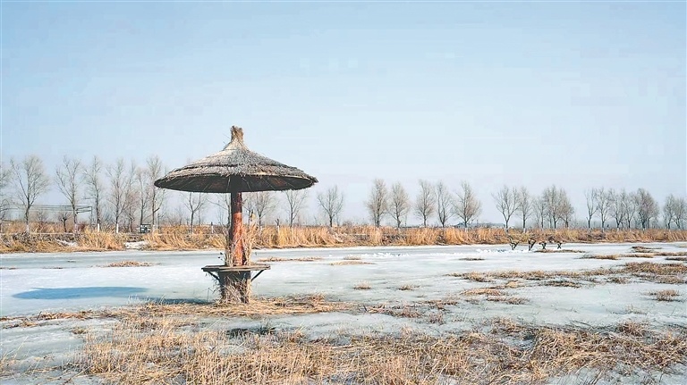 肇东千鹤岛 涵养生态 筑巢待鸟_腾讯新闻