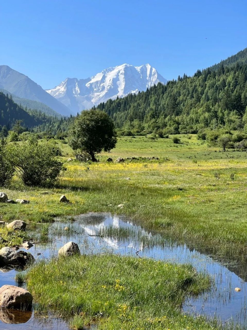 远方有诗在甘孜!快来甘孜领取毕业季福利