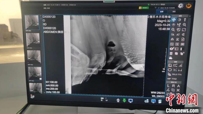 诊疗中心(以下简称诊疗中心)已开业4个月有余,累计接诊牛羊1000多头只