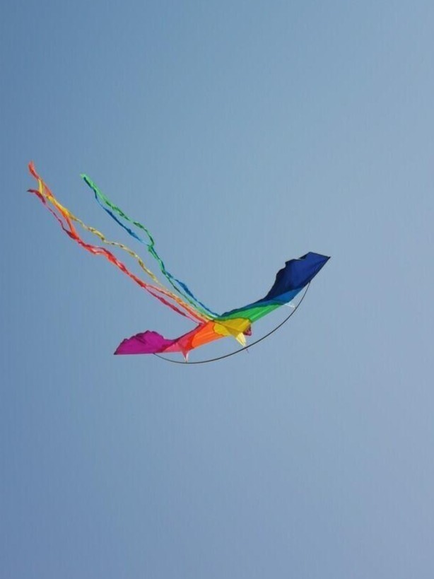 大家‖风筝还在天上飞