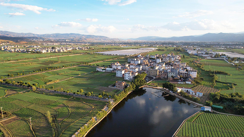 云南弥渡绿染村庄生态宜居