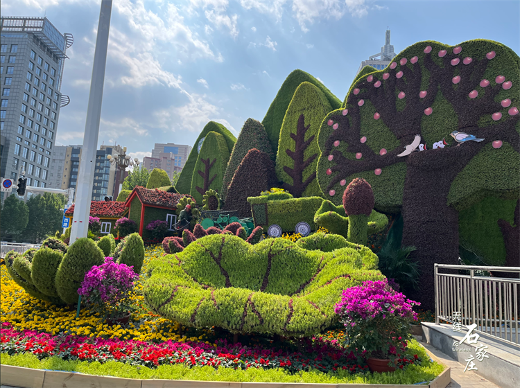 立体花坛为花城建设工程历年建设重点,今年五一花坛摆花以种植矮牵牛