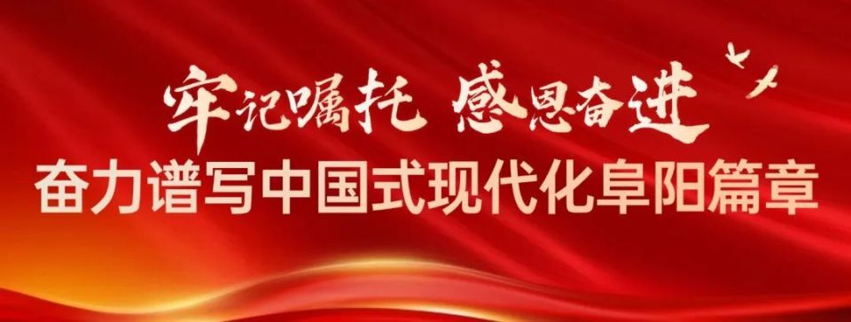 2024年安徽阜阳多少人口_马上启动!涉全市140个乡镇街道!