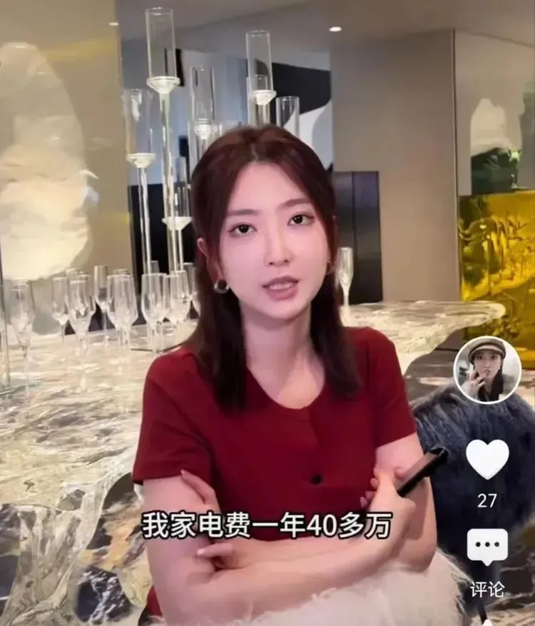 网红妻子炫富“家中一年电费40万，兰博基尼挂墙上”