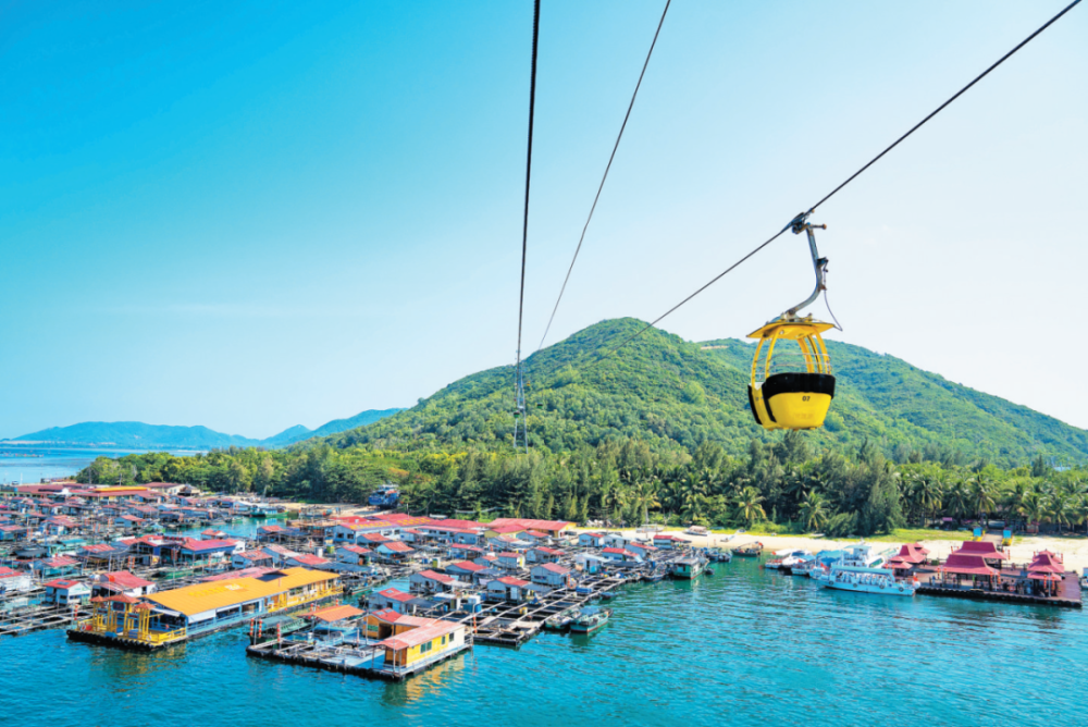 南湾猴岛生态旅游区活动内容:2024年应届考生凭本人中,高考准考证及