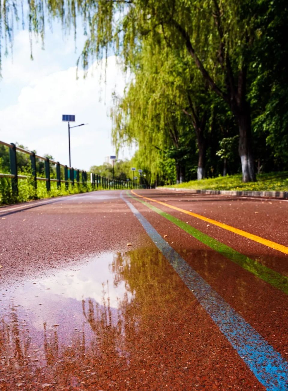 雨中美景图片