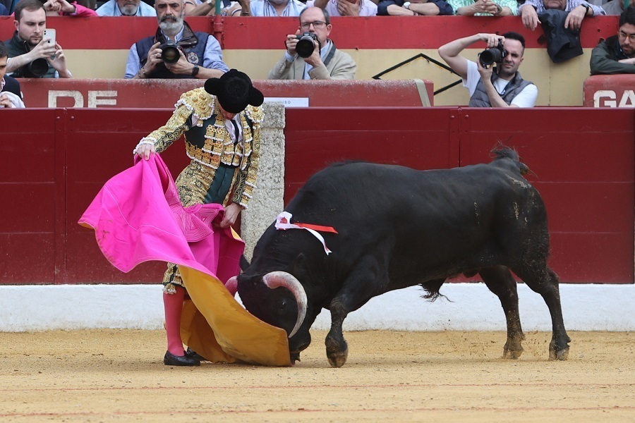 西班牙巴达霍斯举办斗牛比赛