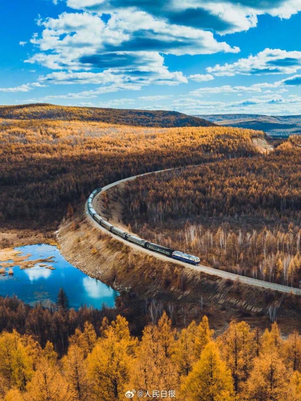 当列车穿行在大兴安岭树林