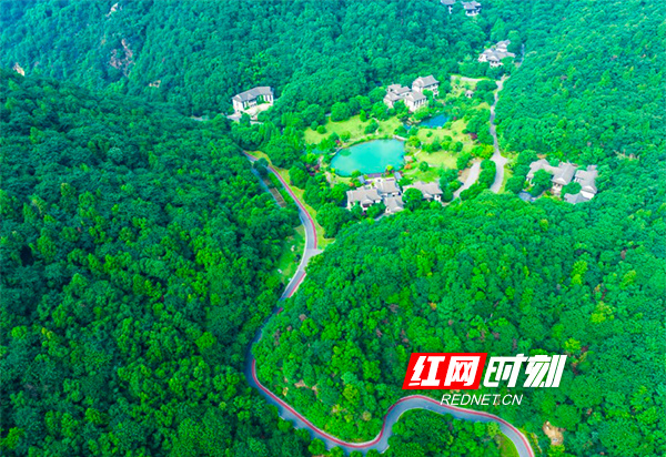 红网时刻新闻记者 王娟娟 长沙报道暮春时节,湘江西岸绿意盎然.