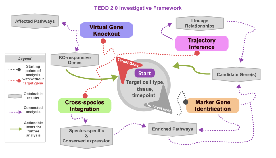 TEDD 2.0：基于算法模拟的功能分析推进发育机制研究的时序基因表达数据库_腾讯新闻