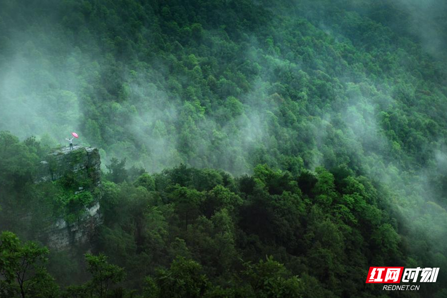 喜讯怀化市会同县获评中国天然氧吧称号