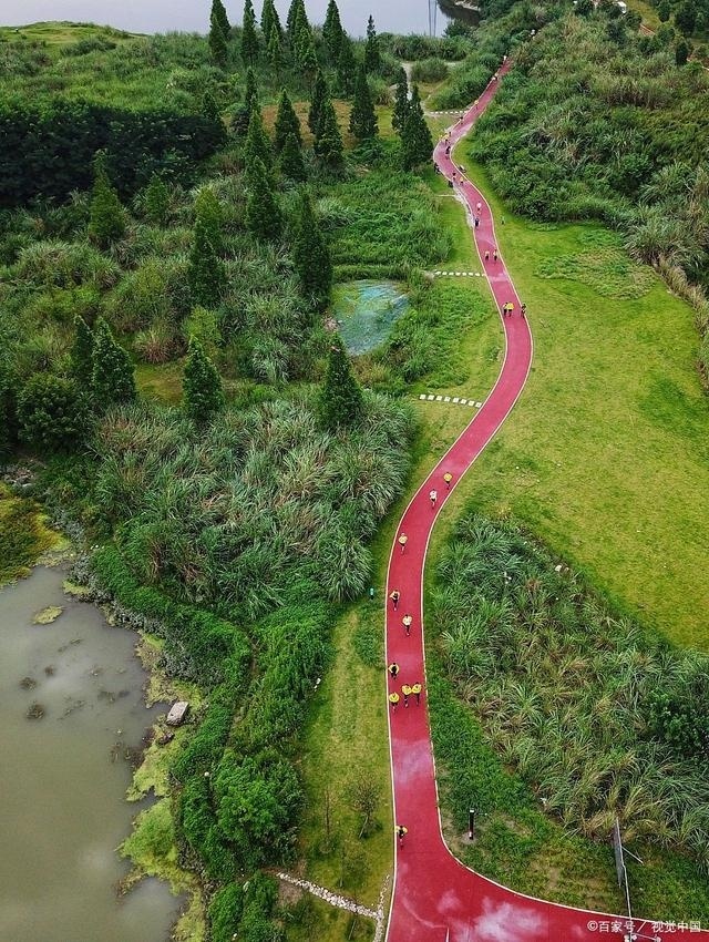 金银湖绿道骑行路线图片