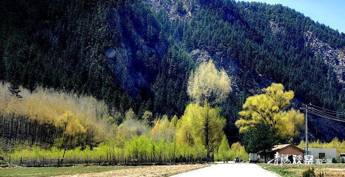 我省最美省道岗青公路进入最美季