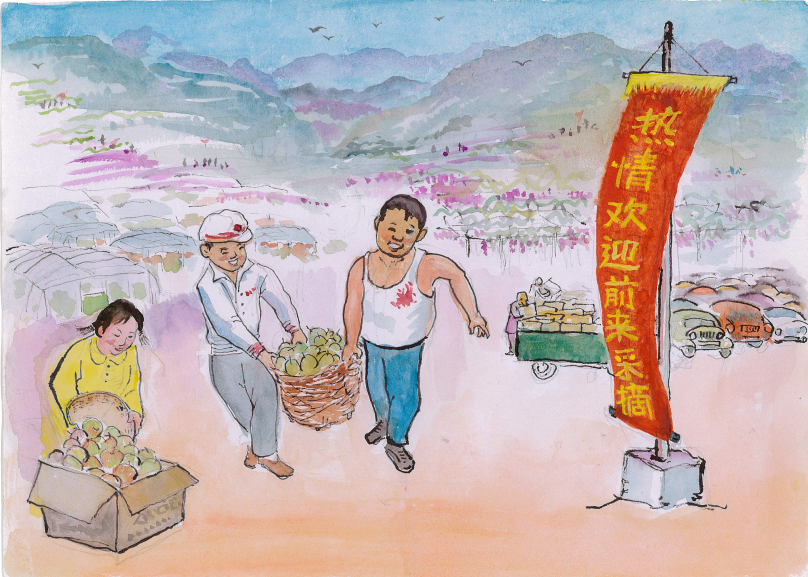 图片