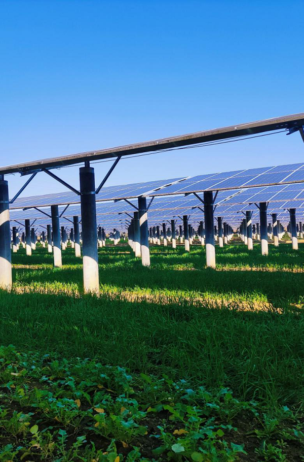 广州发展紫金好义光伏电站"光伏 "绘就乡村振兴新画卷_腾讯新闻