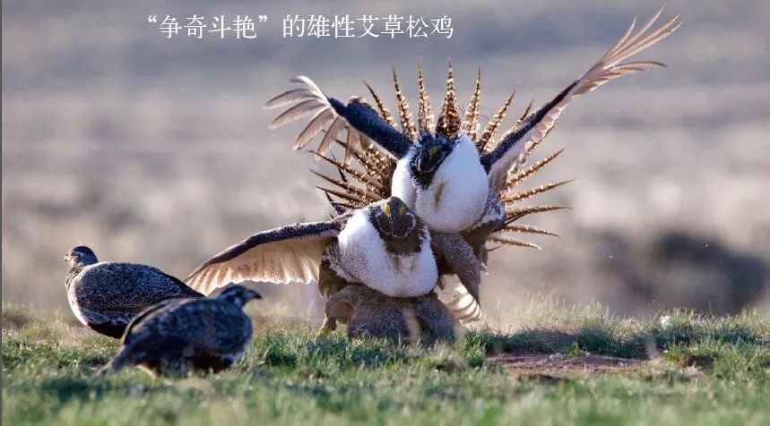 攀比， 一面迷惑人心的魔镜_腾讯新闻