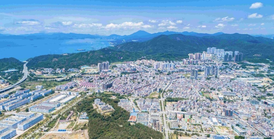 深圳葵涌天气预报