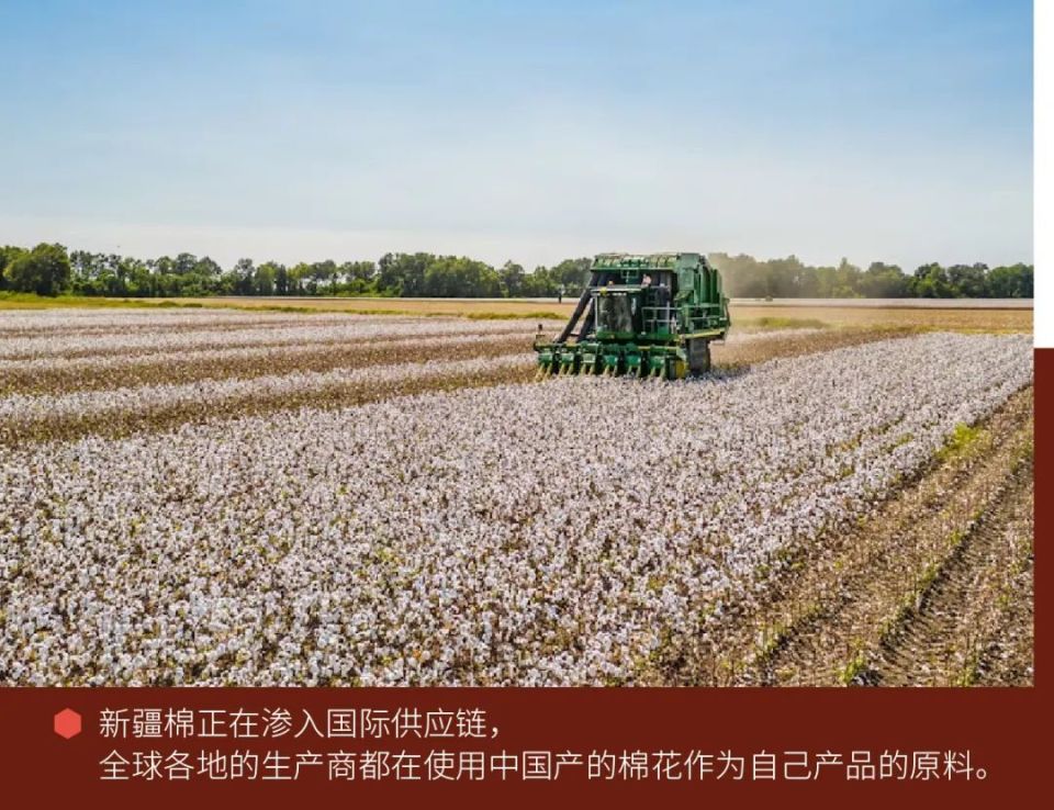 sj 全球供应链|以棉花为起点,以产业链为延伸——中国新疆棉的挑战与