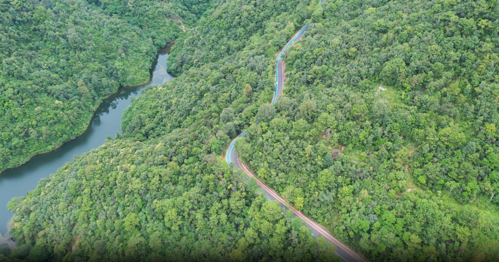 普洱市墨江县:用好林长"指挥棒" 做实"绿"文章