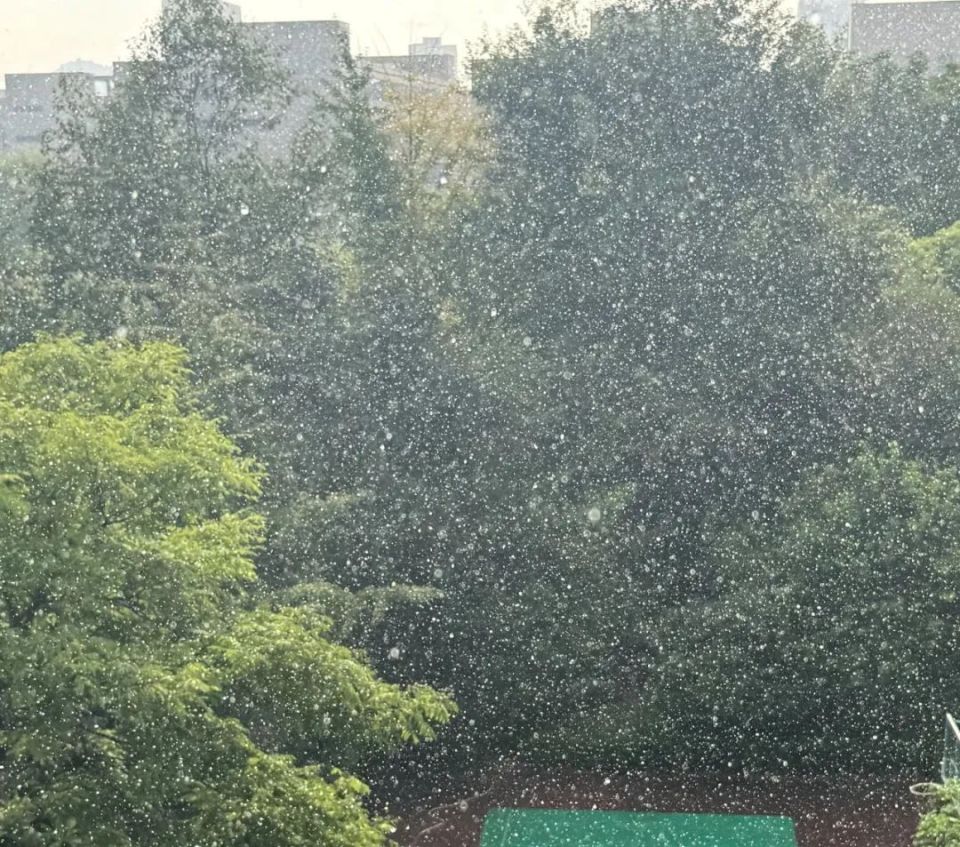 一场雨,直降7℃!下周起,高温的"解药"送到!