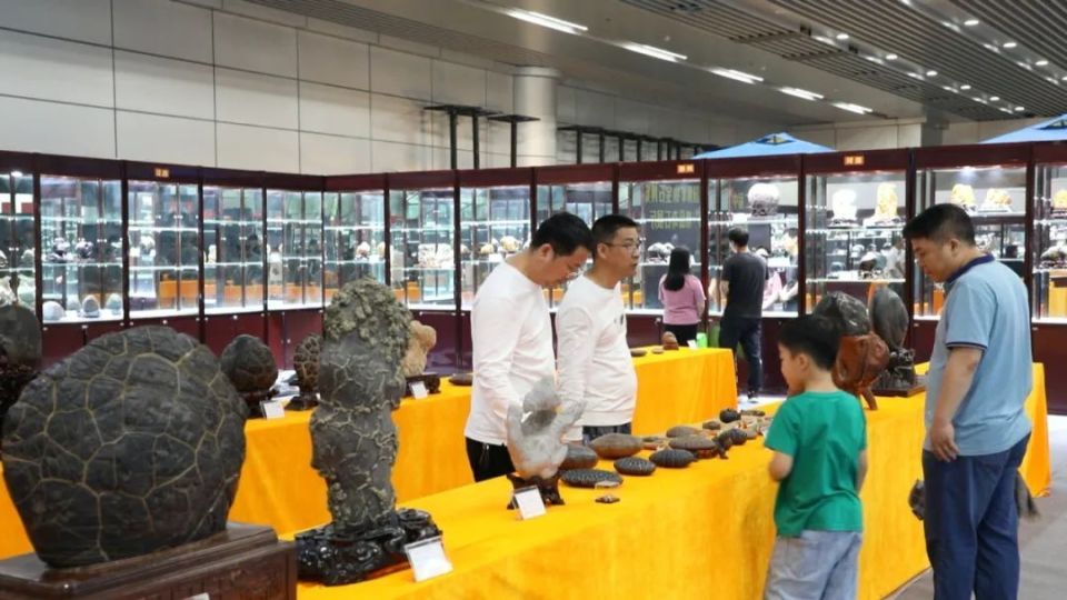 截至目前,精品奇石展厅现场累计交易金额达二十余万元,还有部分奇石