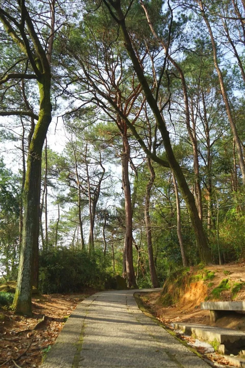 春游丽水:在丽水公园的20分钟