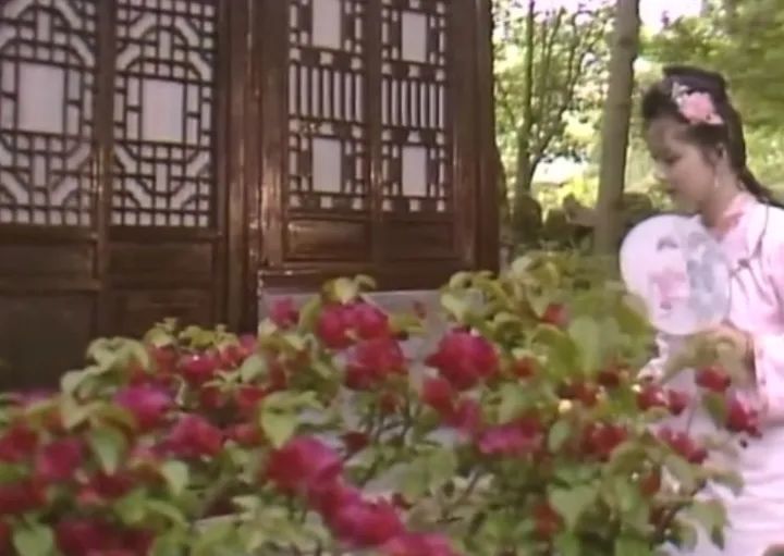 原班人马重聚，87版红楼梦35周年纪念音乐会下周登陆杭州大剧院！你知道这部经典电视剧“打卡”过杭州这些地方吗？(红楼梦30年音乐会没参加的演员是谁)
