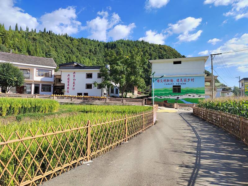 开阳县高寨乡:"内外兼修"促振兴 建设宜居和美乡村