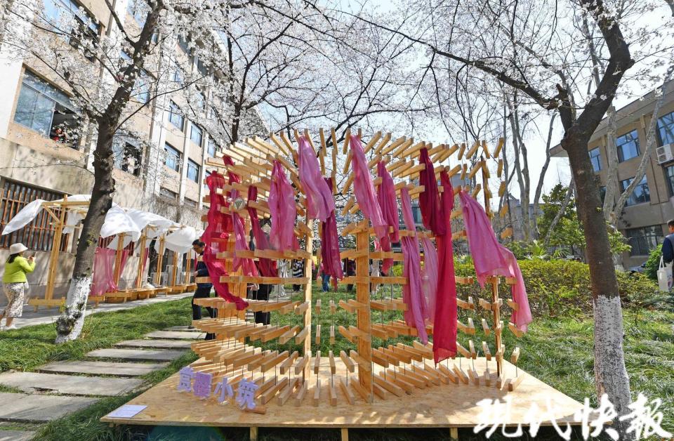 最美樱花教室变"染坊",东大师生染就绝美中国色_腾讯新闻