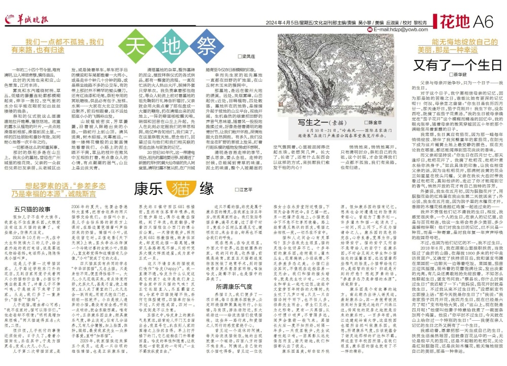 花地|江艺平:康乐猫缘_腾讯新闻