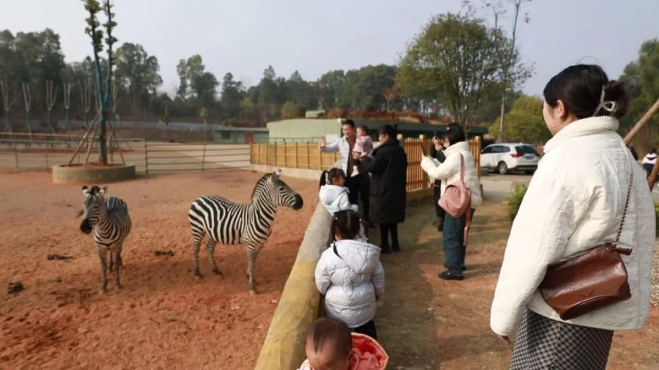 遊客探訪漢壽動物王國體驗自然之美