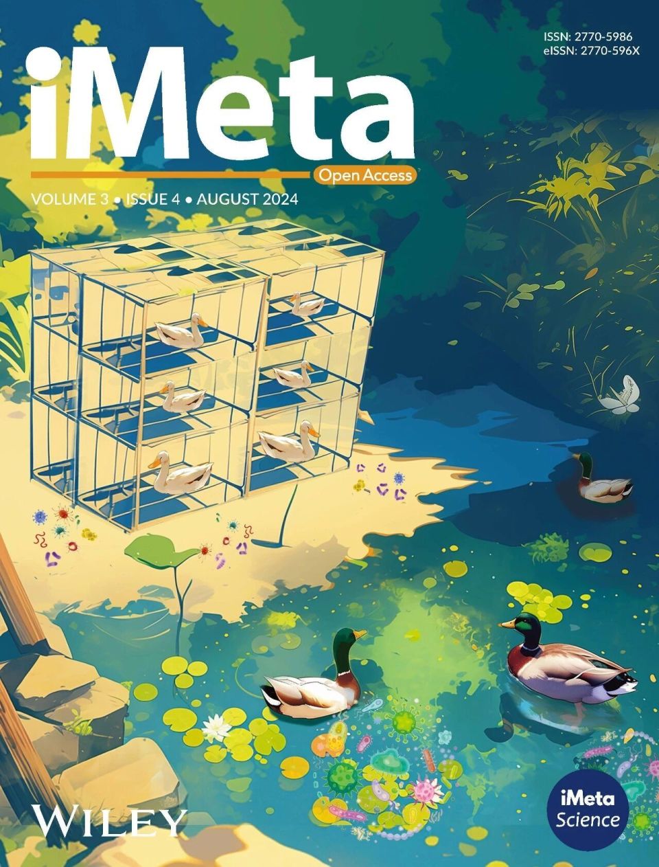 透化治疗什么iMeta ｜ 中国药科大学顾丰组-解析黄葵治疗糖尿病肾病机制_https://www.jmylbn.com_新闻资讯_第22张