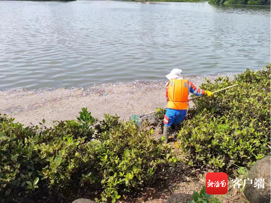 问政海南｜市民吐槽海口红城湖水面有不少脏杂物 环卫企业：已安排人员进行清理