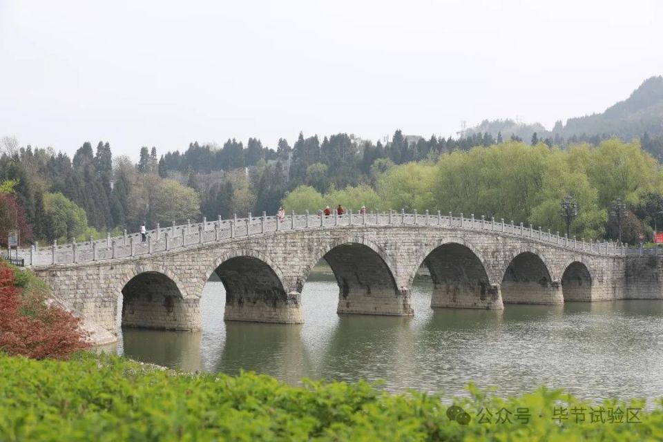 离毕节最近的旅游景点图片